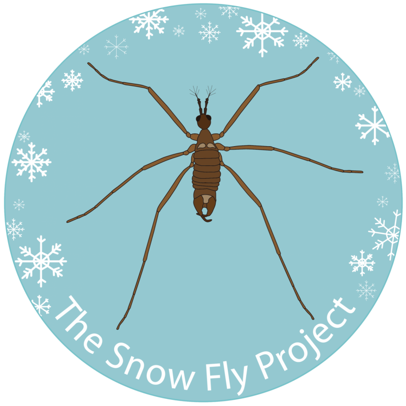 Tuthill Lab’s snow fly research highlighted by Pew Innovation Fund