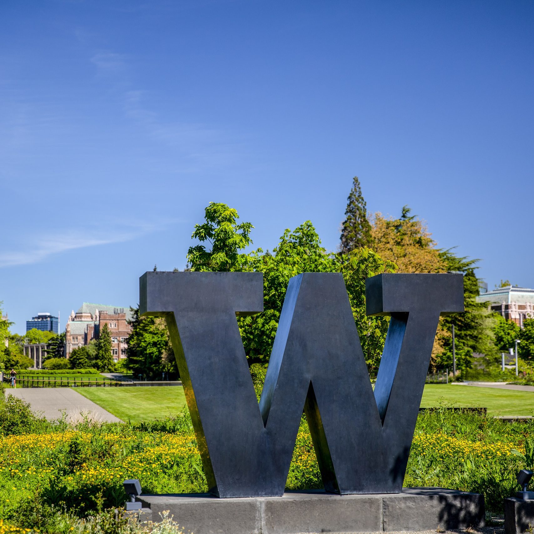 Research Assistant Professor Opportunity Now Open at UW NBIO