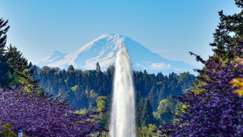 UW NBIO is recruiting an Assistant Teaching Professor