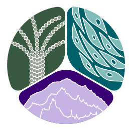 Introducing Our New Visual Identity